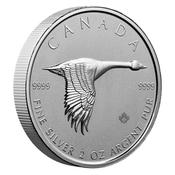 Gęś 2 uncje Srebra 2020