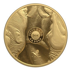 Big Five III: Rhino 1 uncja Złota 2025 Proof