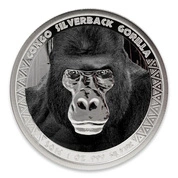 Congo: Goryl srebrnogrzbiety kolorowany 1 uncja Srebra 2016 Proof
