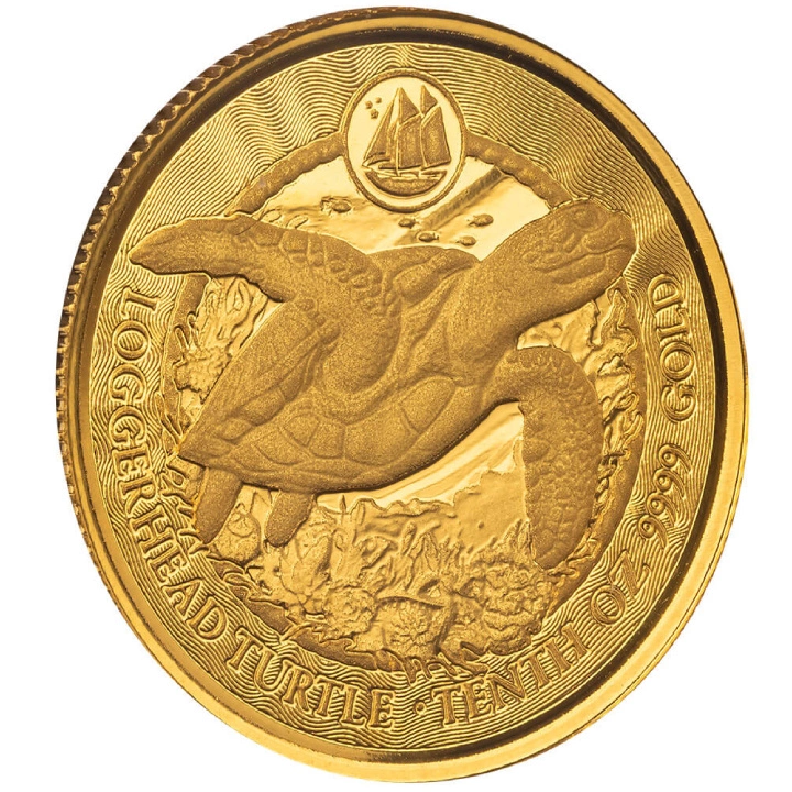 Cayman Islands: Loggerhead Turtle 1/10 uncji Złota 2025
