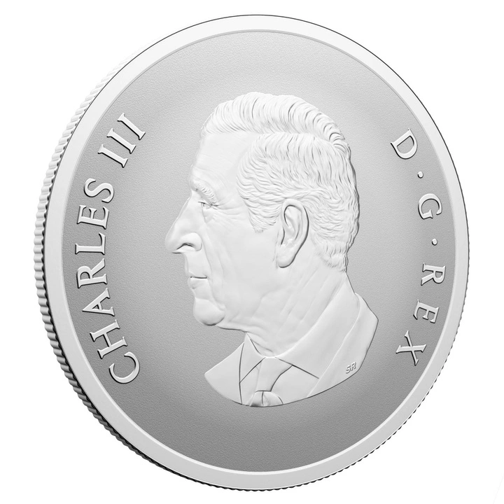 Canada: Remembrance Day kolorowany 1 uncja Srebra 2025 Proof