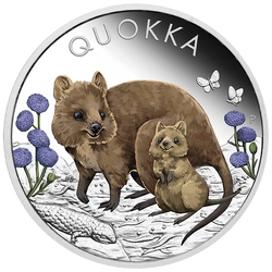 Quokka kolorowana 1 uncja Srebra 2022 Proof