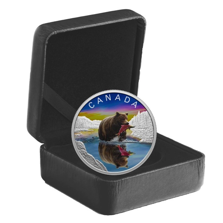 Canada: Wildlife Reflections - Grizzly Bear kolorowany $20 Srebro 2024 Proof