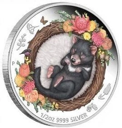 Dreaming Down Under: Śpiący Diabeł Tasmański kolorowany 1/2 uncji Srebra 2021 Proof