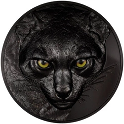 Palau: Hunters by Night - Ocelot kolorowany 1000 gramów Srebra 2025 Obsidian Black