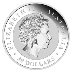 Kookaburra 1000 gramów Srebra 2018