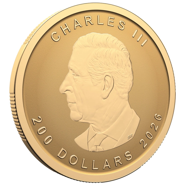 Canada: Our Purest Bison 1 uncja Złota 2026 Reverse Proof