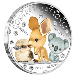 Newborn kolorowany 1/2 uncji Srebra 2026 Proof