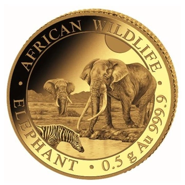 African Wildlife: Słoń Somalijski 0,5 g Złota 2026