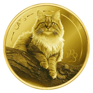 Fiji: Cats 1/2 uncji Złota 2025 Prooflike