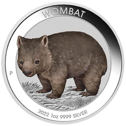 Australijski Wombat kolorowany 1 uncja Srebra 2022