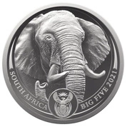 Big Five II: Elephant 1 uncja Platyny 2021 Proof
