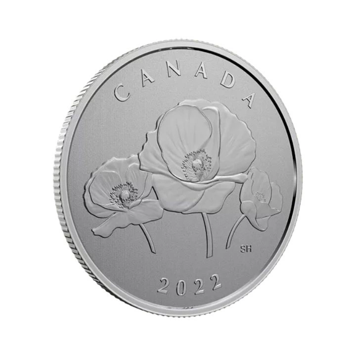 Canada: Moments to Hold: Remembrance Day 1/4 uncji Srebra 2022 Specimen