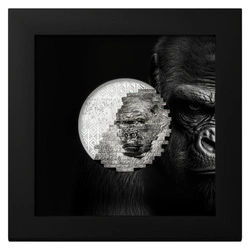 Cook Islands: Reconstruction Gorilla 2 uncje Srebra 2025 Proof