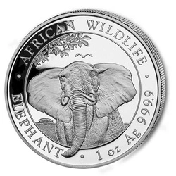African Wildlife: Słoń Somalijski 1 uncja Srebra 2021