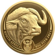 Big Five II: Buffalo 1/4 uncji Złota 2023 Proof