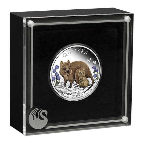 Quokka kolorowana 1 uncja Srebra 2022 Proof