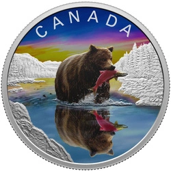 Canada: Wildlife Reflections - Grizzly Bear kolorowany $20 Srebro 2024 Proof 
