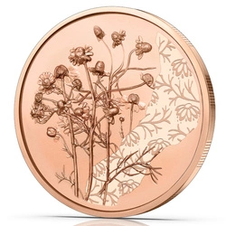 The Chamomile 10 Euro Miedź 2023