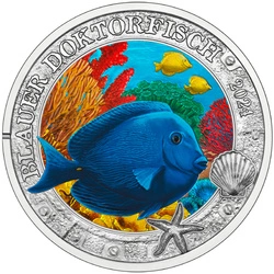Blue Doctorfish kolorowany 3 Euro Miedź 2024