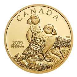 Canada: Atlantic Puffins 1 uncja złota 2019 Proof