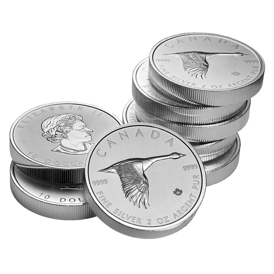 Gęś 2 uncje Srebra 2020