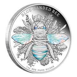 Niue: Australian Native Bees - Blue-banded Bee 1 uncja Srebra 2025 Proof Hologram
