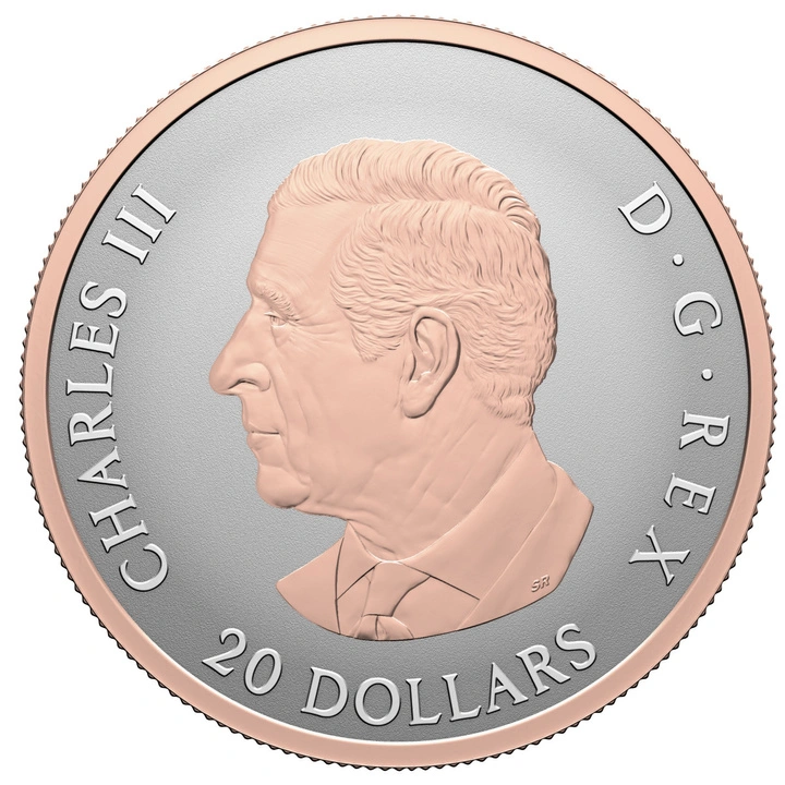 Canada: Celebrate Love $20 pozłacany Srebro 2026 Proof