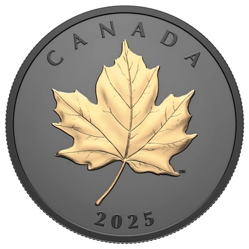 Kanadyjski Liść Klonowy “Gilded Elegant Maple” pozłacany 1 uncja Srebra 2025 Proof