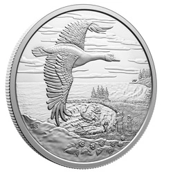 Canada: Interconnected Nature $20 Srebro 2025 Proof