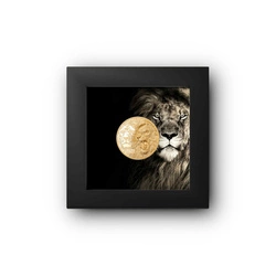 Cook Islands: King of the South - Lion 1/4 uncji Złota 2023 Proof High Relief