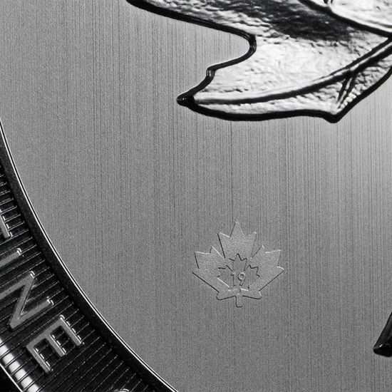 Kanadyjski Liść Klonowy 10 uncji Srebra 2019