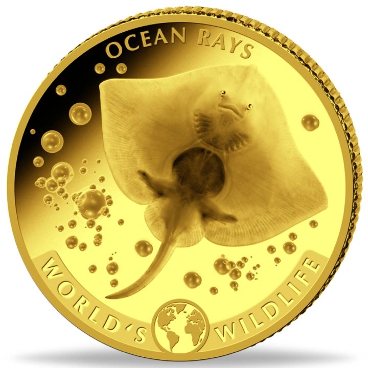 Congo: World‘s Wildlife - Ocean Rays 0,5 grama Złota 2023 Proof