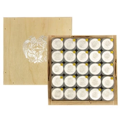 Arka Noego 1 uncja Srebra 2011