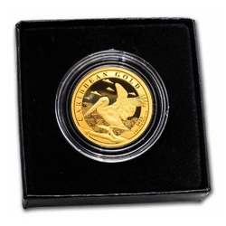 Barbados: Caribbean Pelican 1 uncja Złota 2023