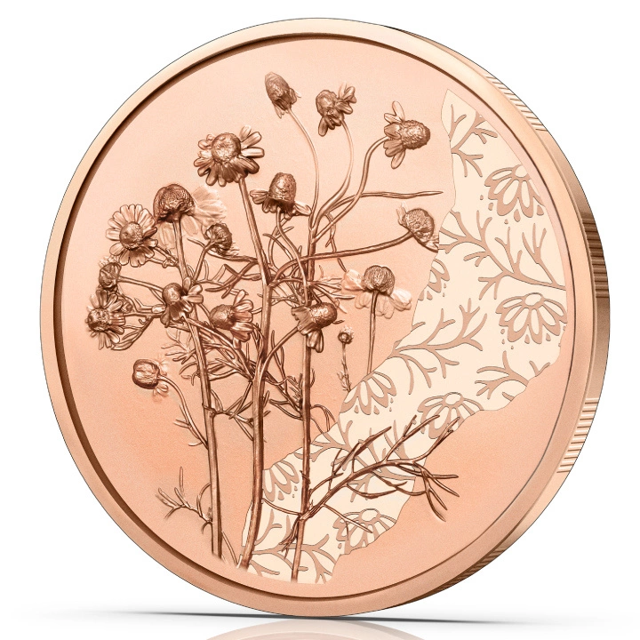 The Chamomile 10 Euro Miedź 2023