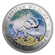 African Wildlife: Słoń Somalijski kolorowany 1 uncja Srebra 2007