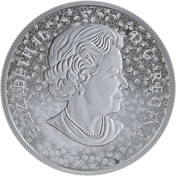 Kanada: Forget-Me-Not 1 uncja Srebra 2019 Proof