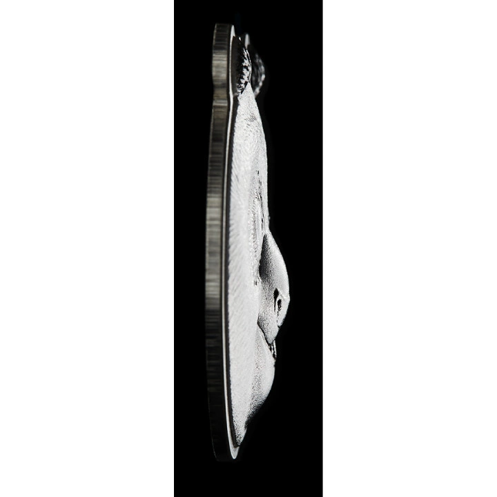 Niue: Kung Fu Panda - Po kolorowany 2 uncje Srebra 2023 Ultra High Relief Shaped Coin