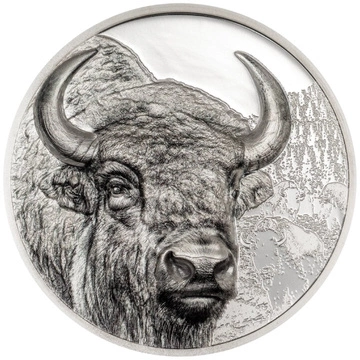Mongolia: Bison 2 uncje Srebra 2025 Black Proof