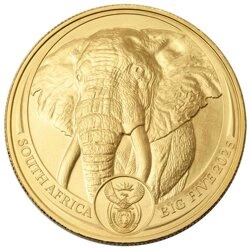 Big Five: Elephant 1 uncja Złota 2025