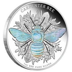 Niue: Australian Native Bees - Stingless Bee 1 uncja Srebra 2026 Proof Hologram