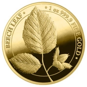 Beech Leaf 1 uncja Złota 2023 Proof
