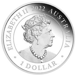 Urodziny kolorowane 1 uncja Srebra 2022 Proof