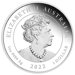 Quokka kolorowana 1 uncja Srebra 2022 Proof