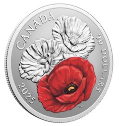 Canada: Remembrance Day kolorowany 1 uncja Srebra 2025 Proof