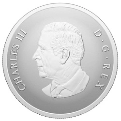 Canada: Remembrance Day kolorowany 1 uncja Srebra 2025 Proof