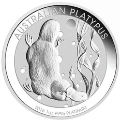 Platypus 1 uncja Platyny 2016