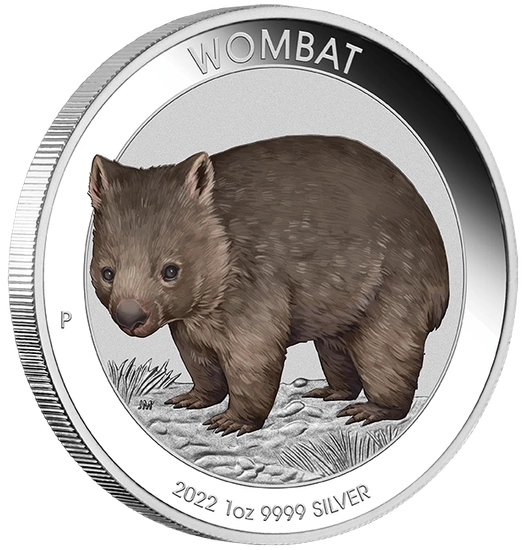 Australijski Wombat kolorowany 1 uncja Srebra 2022