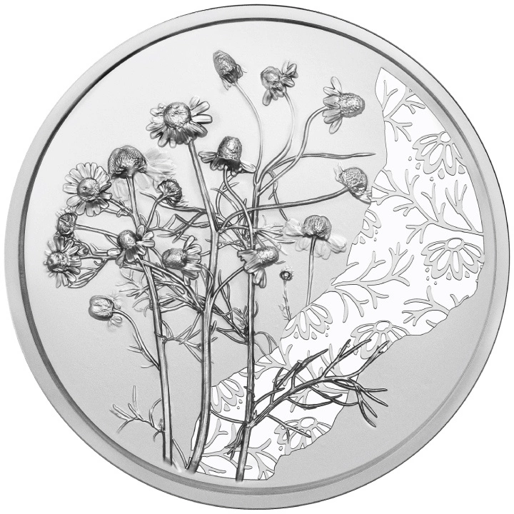 The Chamomile 10 Euro Srebro 2023